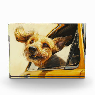 Bloc Photo Impression d'art de chien joueur profitant d'une b