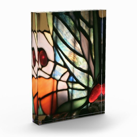 Bloc Photo Impression Papillon en verre tendu (Gauche)