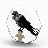 Bloc Photo Inked (Droite)