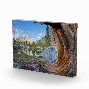 Bloc Photo Inyo National Forest, California