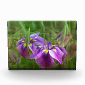 Bloc Photo Irises pourpres en mouvement (Devant)