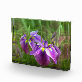 Bloc Photo Irises pourpres en mouvement (Droite)