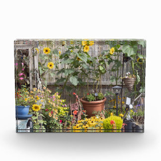 Bloc Photo Jardin fleuri et bateau étroit