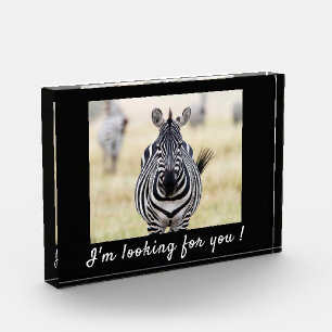 Bloc Photo Je vous recherche photo Zebra avec un texte
