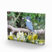 Bloc photo jonquille (Droite)