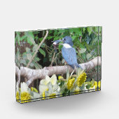 Bloc photo jonquille (Gauche)