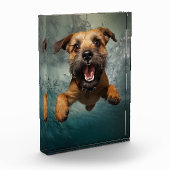 Bloc Photo Jouer Chien nager Design sous-marin (Gauche)