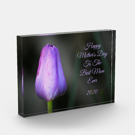 Bloc Photo Joyeuse Fête des mères Tulipe pourpre (Gauche)
