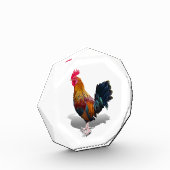 Bloc Photo Key West - Rooster tzigane (Gauche)