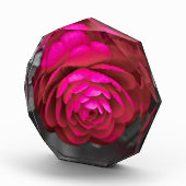 Bloc Photo La Camélia rose (Droite)