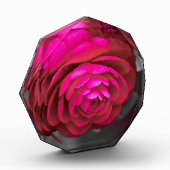 Bloc Photo La Camélia rose (Gauche)
