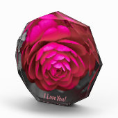 Bloc Photo La Camellie Rosy Je T'Aime ! (Droite)