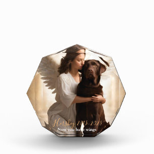 Bloc Photo Laboratoire de chocolat avec Angel Custom Memorial