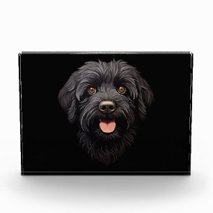 Bloc Photo Labradoodle Chien noir