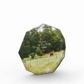 Bloc Photo L'Année du Cheval, 2026,  (Gauche)