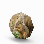 Bloc Photo L'art de bureau en verre d'écureuil (Droite)