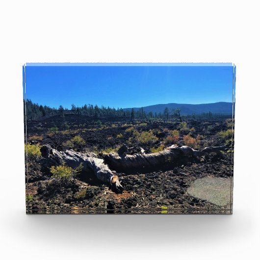 Bloc Photo Lava Cast Forest, OR (Devant)