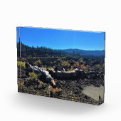 Bloc Photo Lava Cast Forest, OR (Droite)