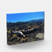 Bloc Photo Lava Cast Forest, OR (Gauche)