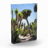 Bloc Photo Le Cactus Garden Balboa Park (Gauche)