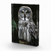 Bloc Photo Le grand hibou gris pbcnm (Droite)