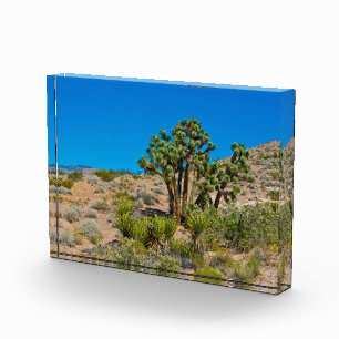 Bloc Photo Le Monument national de Gold Butte