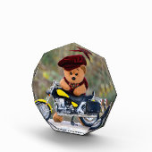 Bloc Photo Le motard - Teddy - (Droite)