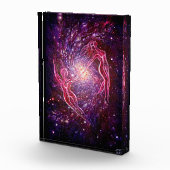 Bloc Photo Le rêve des criminels (Droite)