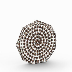 Bloc Photo Le tourbillon de Wombat : une spirale de merveille