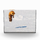 Bloc Photo Leap Fox | Yukon, Canada (Devant)