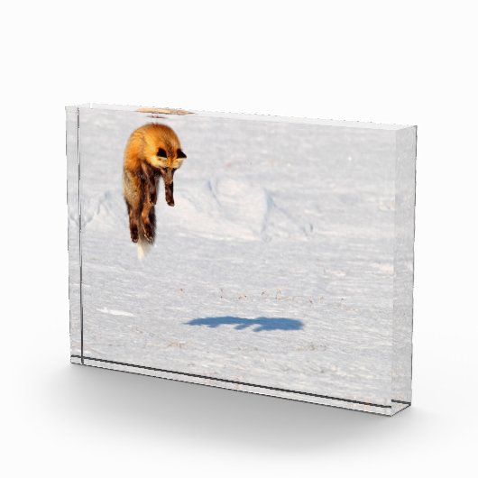 Bloc Photo Leap Fox | Yukon, Canada (Droite)