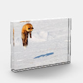 Bloc Photo Leap Fox | Yukon, Canada (Gauche)