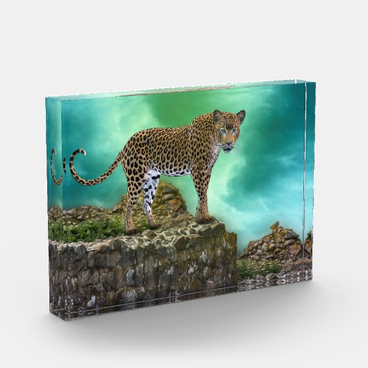 Bloc photo Leopard (Gauche)