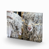 BLOC PHOTO LES CHÈTES FRAÎCHES (Droite)