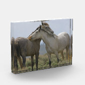 Bloc Photo Les Chevaux Sauvages (Gauche)