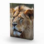 Bloc Photo Lion (Droite)