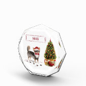 Bloc Photo Long Haired Chihuahua Funny Christmas Dog Tree Pho (Droite)