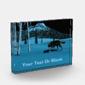 Bloc Photo Loup d'hiver - Tapetum Lucidum (Gauche)