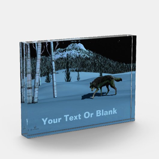 Bloc Photo Loup d'hiver - Tapetum Lucidum (Gauche)