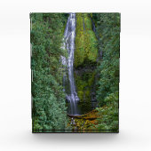 Bloc Photo Lower Proxy Falls | Forêt nationale de Willamette (Devant)