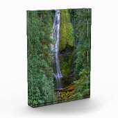 Bloc Photo Lower Proxy Falls | Forêt nationale de Willamette (Gauche)