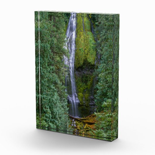 Bloc Photo Lower Proxy Falls | Forêt nationale de Willamette (Droite)