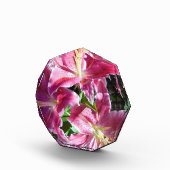 Bloc Photo lys stargazers (Droite)