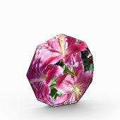 Bloc Photo lys stargazers (Gauche)