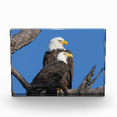 Bloc Photo M15 & F23 - Un nouveau couple (Devant)