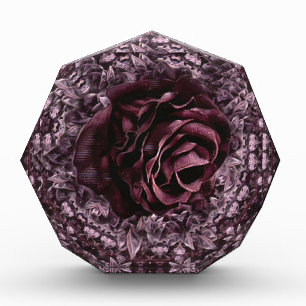 Bloc Photo Mandala de rose