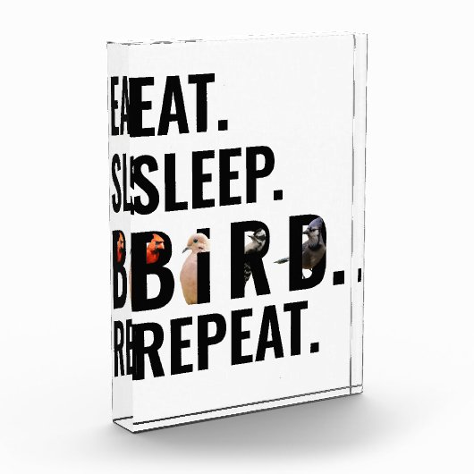 Bloc Photo Manger Oiseau dormant Répéter Oiseau observer (Gauche)