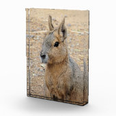BLOC PHOTO MARA PATAGONIEN (Droite)