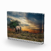 Bloc Photo Marche des éléphants au coucher du soleil (Droite)