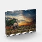 Bloc Photo Marche des éléphants au coucher du soleil (Gauche)